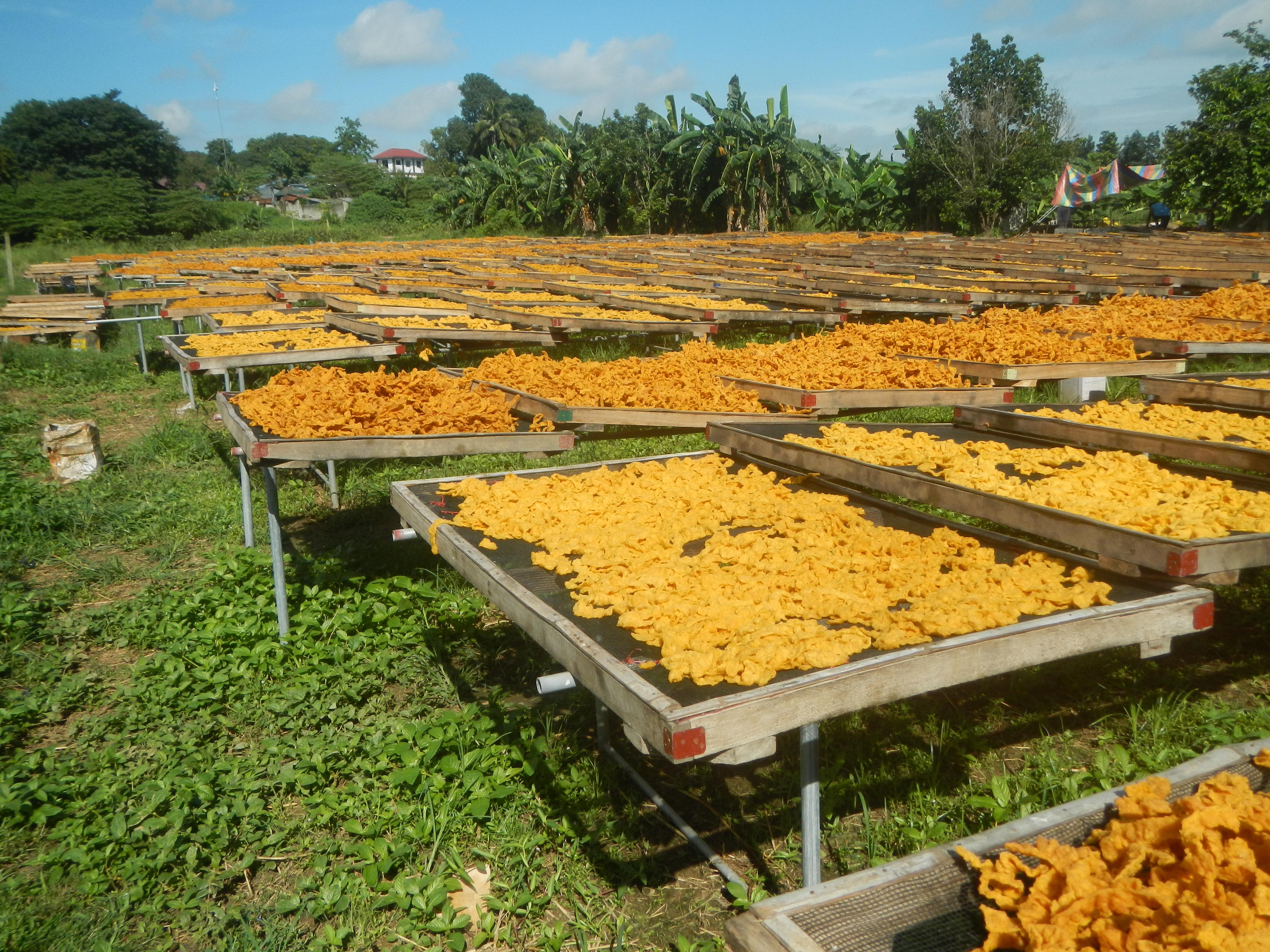 Authentic Kerupuk Gendar: Spiced Rice Cracker from Java